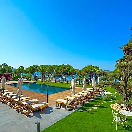 Hotel Cunda Callisto Despot Evi 12 Yas Ve Uezeri